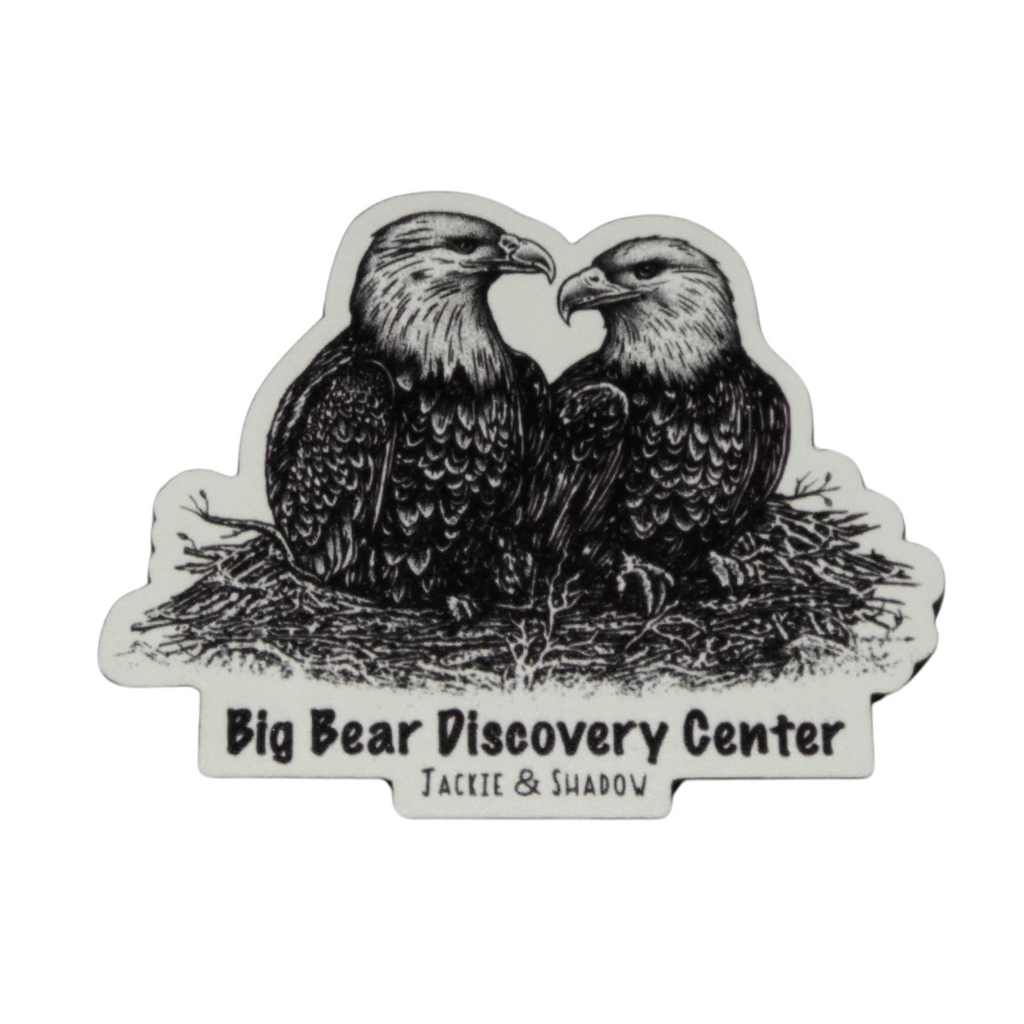 Eagle Sketch Magnet