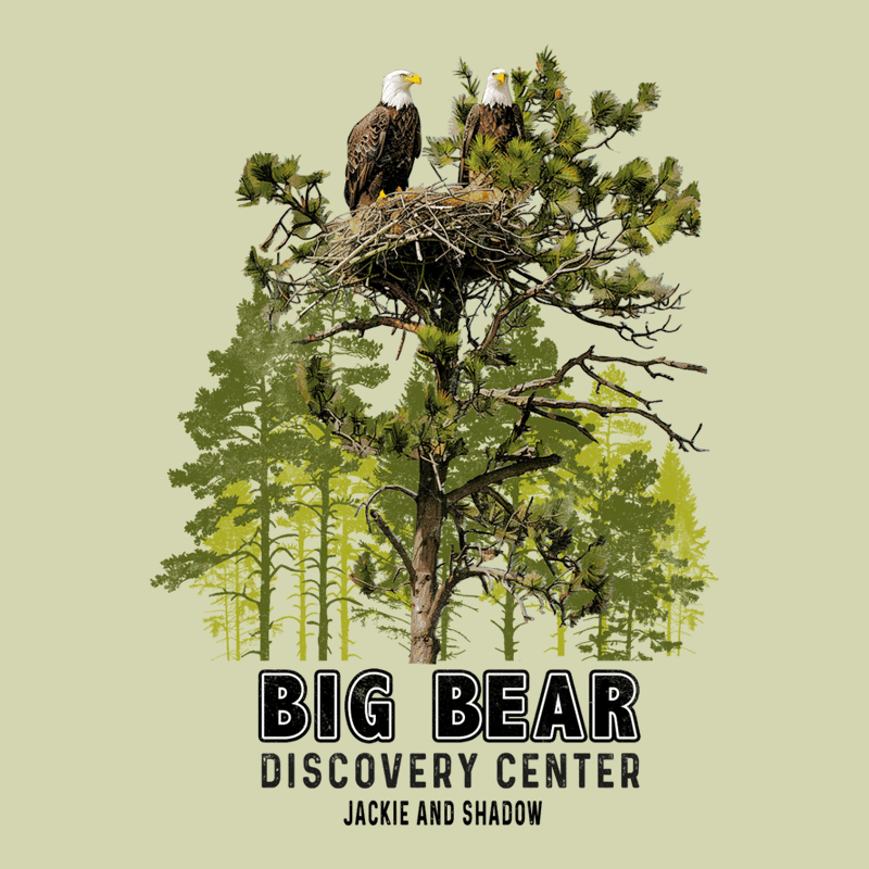 Big Bear Discovery Center Eagle Hoodie