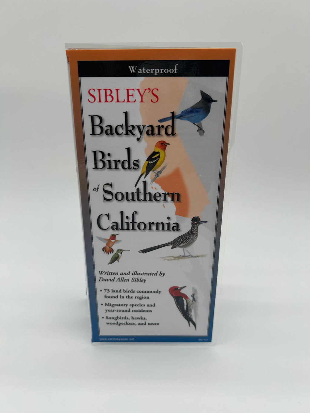 Birding Discovery Bundle