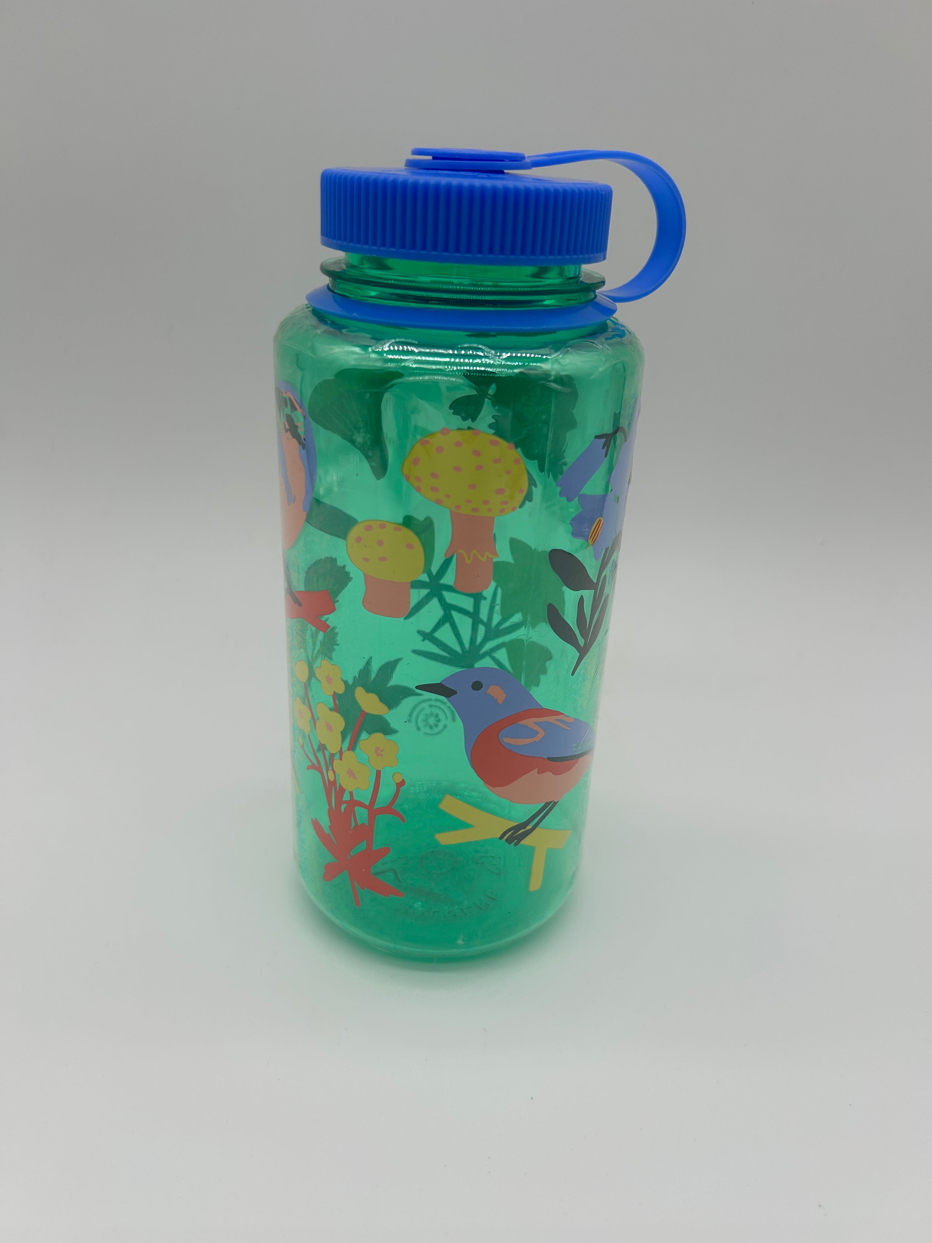 Birding Discovery Bundle