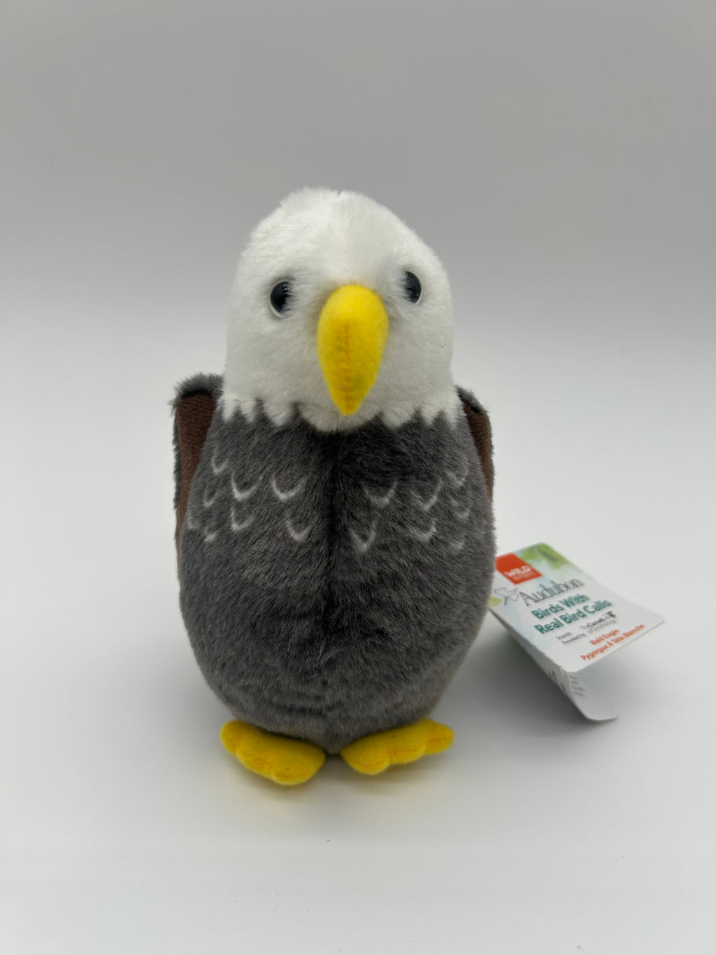 Birding Discovery Bundle