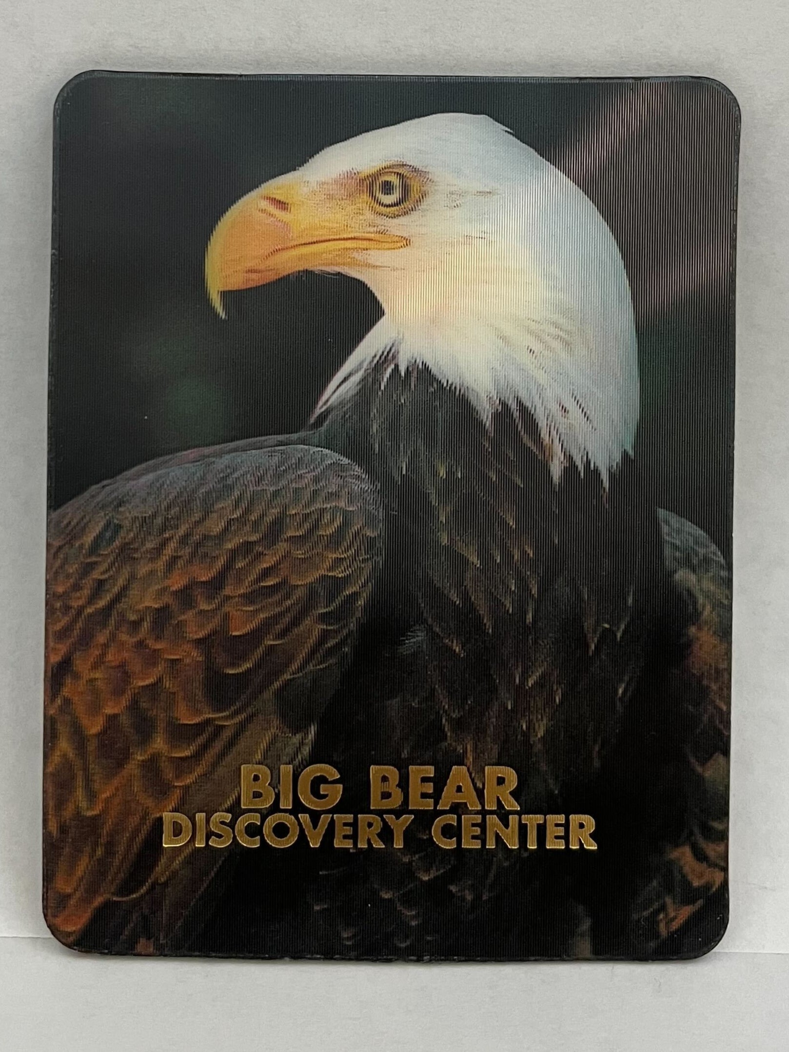 Big Bear Discovery Center Bald Eagle 3D Magnet