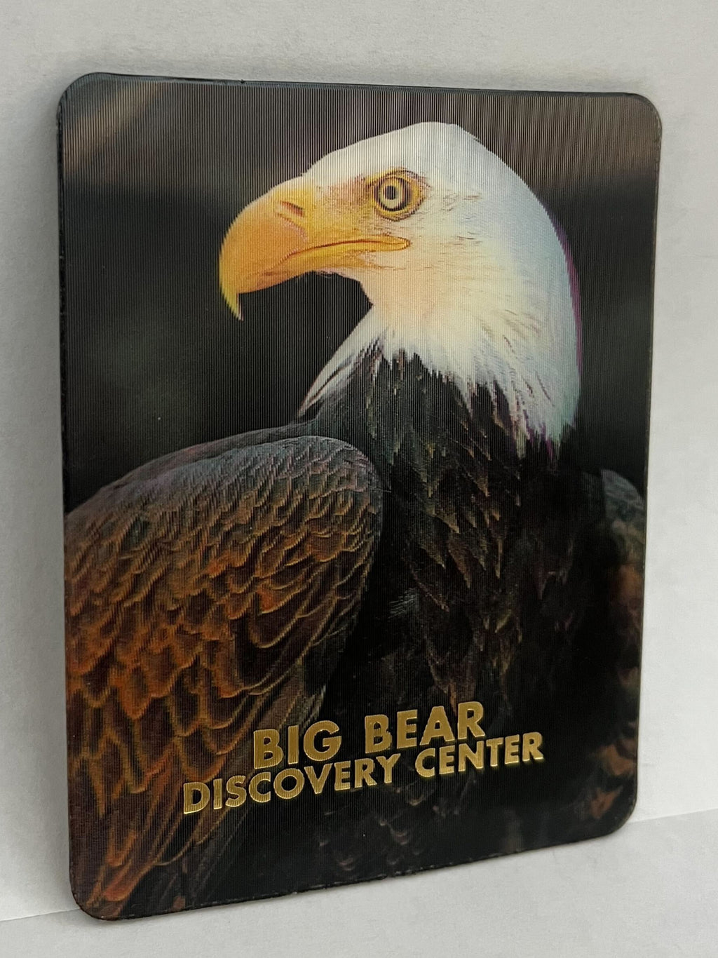 Big Bear Discovery Center Bald Eagle 3D Magnet