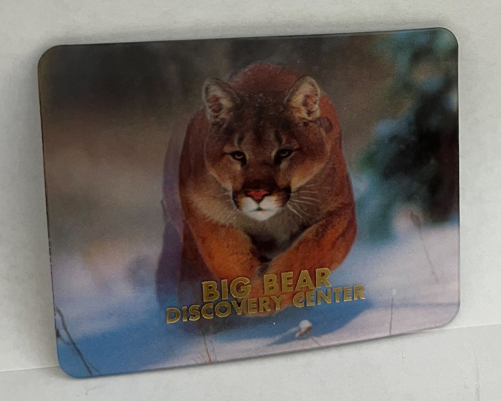 Big Bear Discovery Center Mountain Lion 3D Magnet