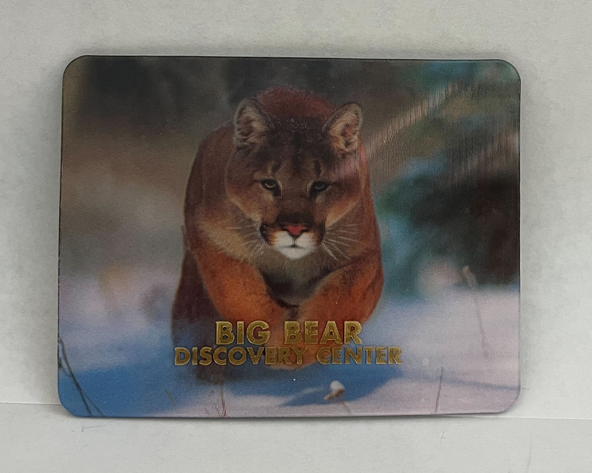 Big Bear Discovery Center Mountain Lion 3D Magnet