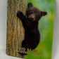 Big Bear Discovery Center Black Bear 3D Magnet