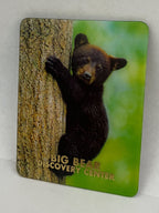 Big Bear Discovery Center Black Bear 3D Magnet