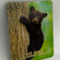 Big Bear Discovery Center Black Bear 3D Magnet