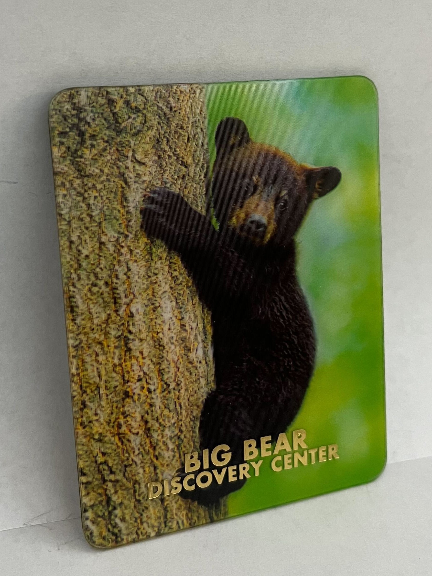 Big Bear Discovery Center Black Bear 3D Magnet