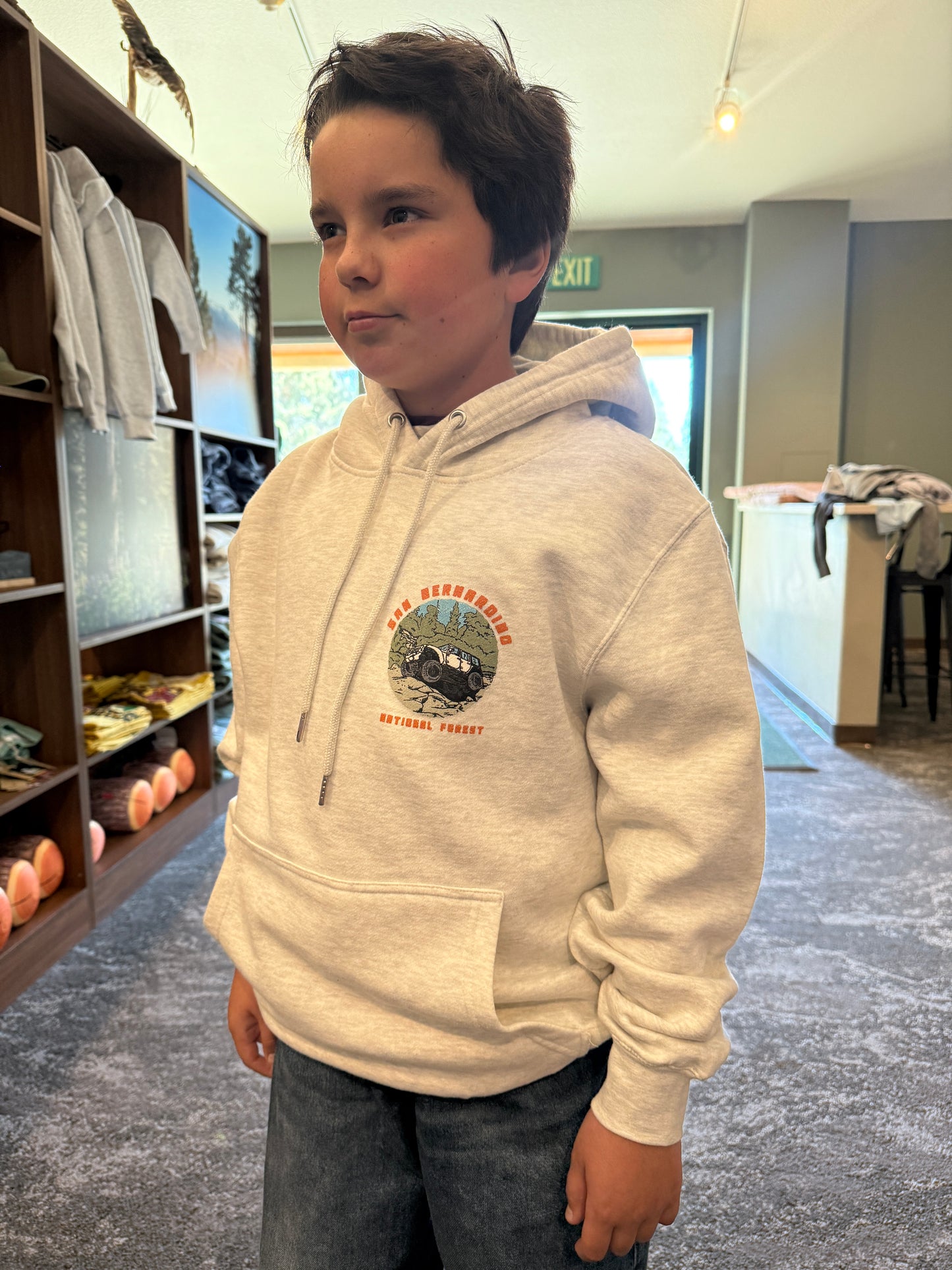 Big Bear Discovery Center Eagle Hoodie